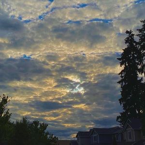 Meet your Posher, Ana